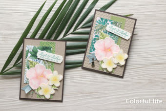 【ダイカット・色塗り】夏のお花を楽しむ、ハイビスカスとプルメリアのカード