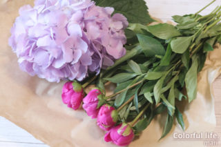 FLOWER紫陽花と芍薬1（2022年5月）